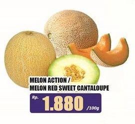 Promo Harga Melon Action/Red Sweet Cantaloupe  - Hari Hari