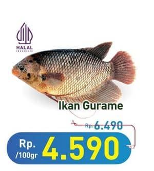 Promo Harga Ikan Gurame per 100 gr - Hypermart