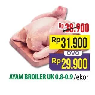 Promo Harga Ayam Broiler 800 gr - Hypermart