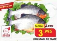 Promo Harga Ikan Bawal Tawar per 100 gr - Superindo