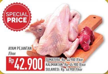 Promo Harga Ayam Pejantan  - Hypermart