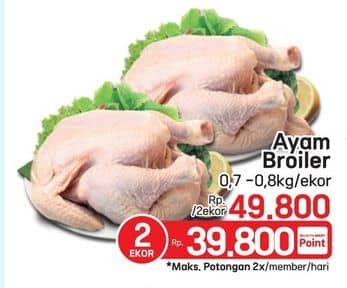 Promo Harga Ayam Broiler 700 gr - LotteMart