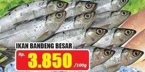 Promo Harga Ikan Bandeng Besar per 100 gr - Hari Hari