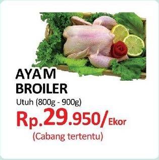 Promo Harga Ayam Broiler  - Yogya