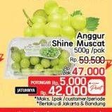 Promo Harga Anggur Shine Muscat 500 gr - LotteMart