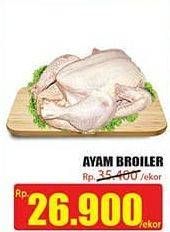 Promo Harga Ayam Broiler  - Hari Hari