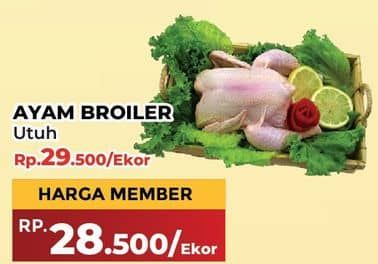 Promo Harga Ayam Broiler 900 gr - Yogya