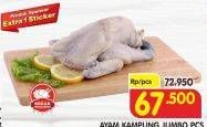 Promo Harga Ayam Kampung Jumbo  - Superindo