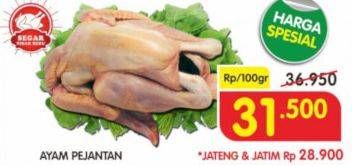 Promo Harga Ayam Pejantan per 100 kaleng - Superindo