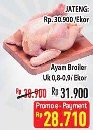 Promo Harga Ayam Broiler 800 gr - Hypermart