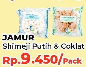 Promo Harga Jamur Shimeji Putih, Cokelat  - Yogya