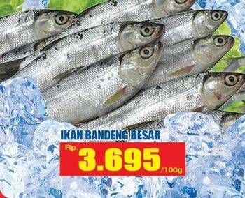 Promo Harga Ikan Bandeng Besar per 100 gr - Hari Hari