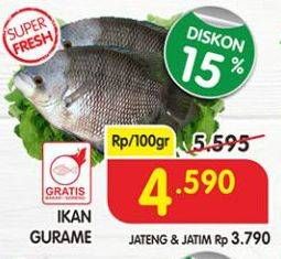 Promo Harga Ikan Gurame per 100 gr - Superindo