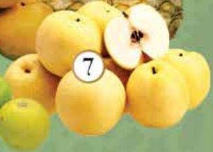 Promo Harga Pear Golden per 100 gr - Yogya