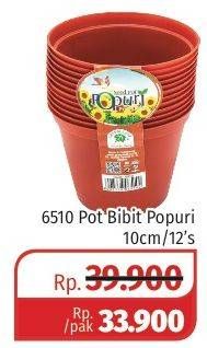 Promo Harga Pot Bunga Bibit Popuri 6510 12 pcs - Lotte Grosir