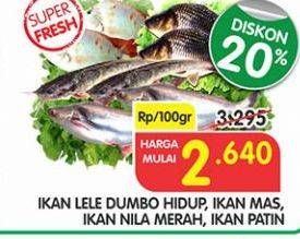 Promo Harga Ikan Lele Dumbo Hidup, Ikan Mas, Ikan Nila Merah, Ikan Patin  - Superindo