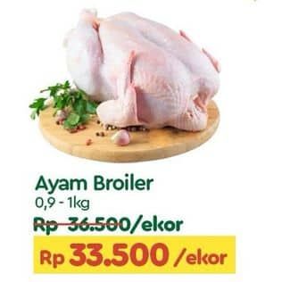 Promo Harga Ayam Broiler 900 gr - TIP TOP