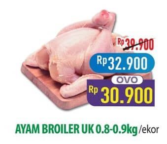 Promo Harga Ayam Broiler 800 gr - Hypermart