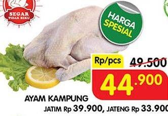 Promo Harga Ayam Kampung  - Superindo