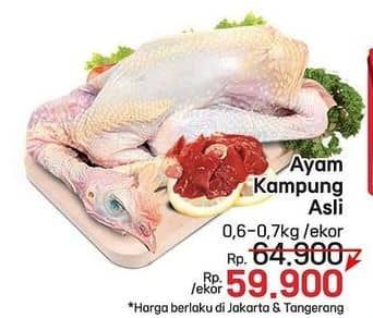 Promo Harga Ayam Kampung 600 gr - LotteMart