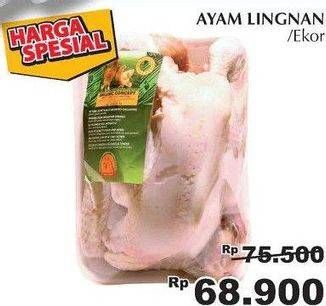 Promo Harga Ayam Lignan  - Giant