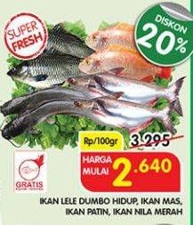 Promo Harga Ikan Lele Dumpo Hidup/ Ikan Mas/ Ikan Patin/ Ikan Nila Merah  - Superindo