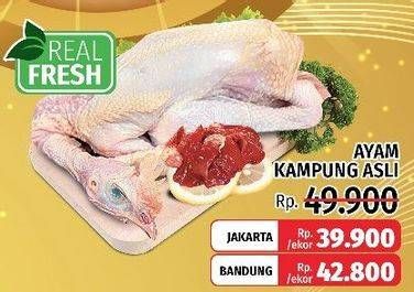 Promo Harga Ayam Kampung Asli  - LotteMart