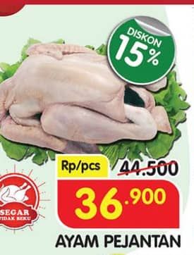Ayam Pejantan