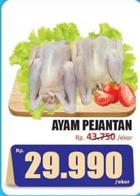 Promo Harga Ayam Pejantan 500 gr - Hari Hari