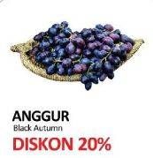 Promo Harga Anggur Black Autumn per 100 gr - Yogya