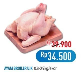 Ayam Broiler