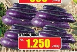 Promo Harga Terong Ungu per 100 gr - Hari Hari