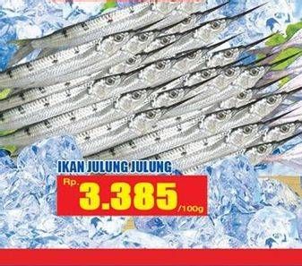 Promo Harga Ikan Julung Julung per 100 gr - Hari Hari