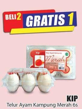Promo Harga KIP Telur Ayam Kampung per 2 pouch 6 pcs - Hari Hari
