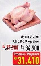 Promo Harga Ayam Broiler 800 gr - Hypermart