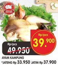 Promo Harga Ayam Kampung  - Superindo