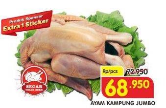 Promo Harga Ayam Kampung Jumbo  - Superindo