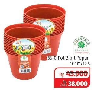 Promo Harga GREEN LEAF POPURI Seed Pot 6510 - 10 Cm  - Lotte Grosir