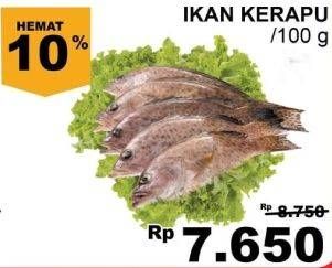 Promo Harga Ikan Kerapu per 100 gr - Giant