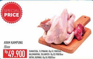 Promo Harga Ayam Kampung 600 gr - Hypermart