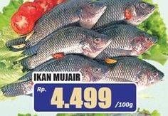 Promo Harga Ikan Mujair per 100 gr - Hari Hari
