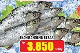 Promo Harga Ikan Bandeng Besar per 100 gr - Hari Hari