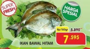 Promo Harga Ikan Bawal Hitam per 100 gr - Superindo