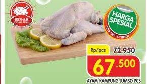 Promo Harga Ayam Kampung Jumbo  - Superindo