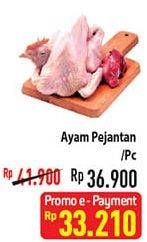 Promo Harga Ayam Pejantan 500 gr - Hypermart