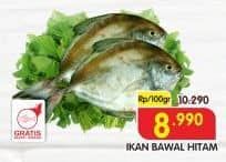 Ikan Bawal Hitam per 100 gr Diskon 12%, Harga Promo Rp8.990, Harga Normal Rp10.290