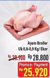 Promo Harga Ayam Broiler Utuh 800 gr - Hypermart