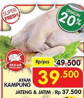 Promo Harga Ayam Kampung  - Superindo