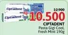 Ciptadent Pasta Gigi Maxi 12 Plus