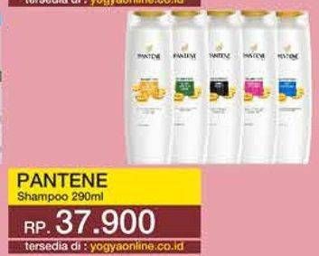 Promo Harga PANTENE Shampoo 290 ml - Yogya